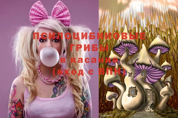 соль ск Верея