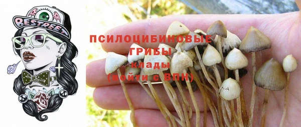 ALPHA PVP Бородино
