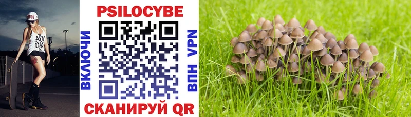 Псилоцибиновые грибы Magic Shrooms  Вилючинск 