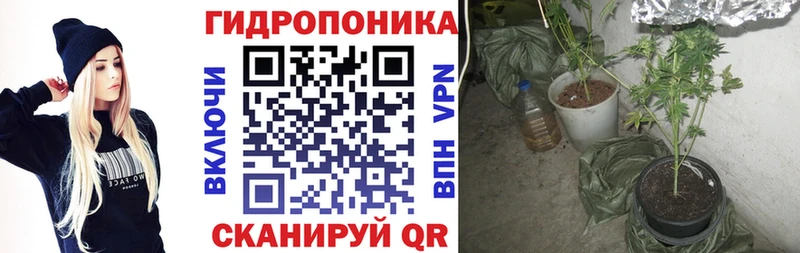 Бошки Шишки SATIVA & INDICA Вилючинск